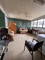 Garden landscape with palms flowers pathway Chitré Panama