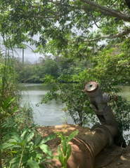 Farmland for Sale in Chepo - 0 bedrooms