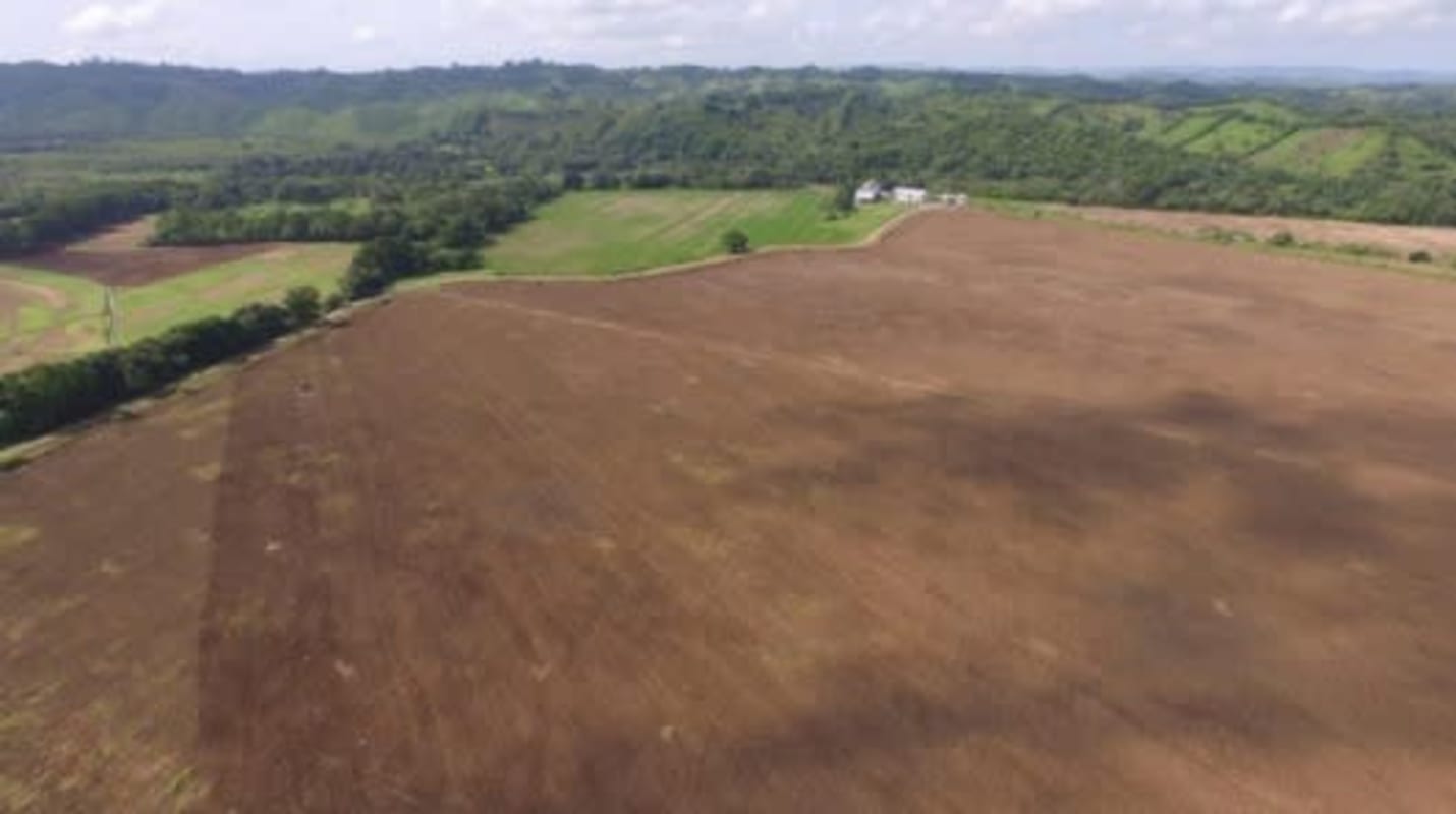 Aerial panorama of large scale rice farmland with rolling hills in Chepo Panama