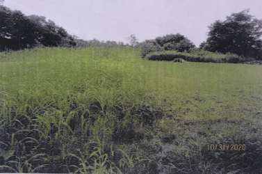 Vacant flat land with vegetation next to industrial buildings El Espinal Panama