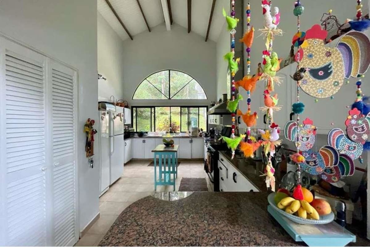 Spacious living room with high ceiling and large windows with garden views in Cerro Azul mountain home