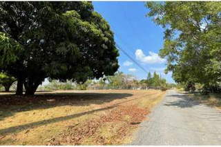 Land for Sale in Chame - 0 bedrooms