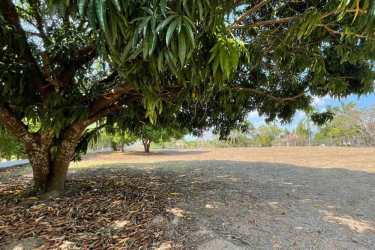 Large flat golf lot with mature shade trees inside private golf resort community in Panama