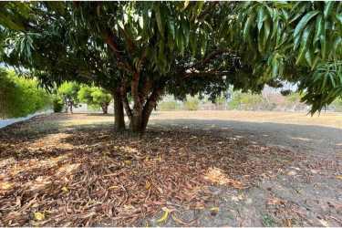 Large clear lot overlooking golf fairway in Coronado Golf and Beach Resort Panama