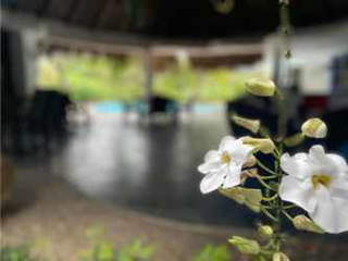 House / Villa for Sale in Punta Barco - 6 bedrooms