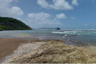 Aerial photo of large beachfront plot with ocean waves and greenery in Colón Panama