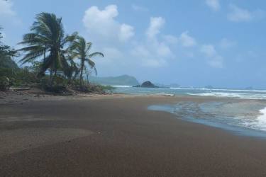 Sandy beach with ocean waves and palm trees in Colon Province ideal for investment