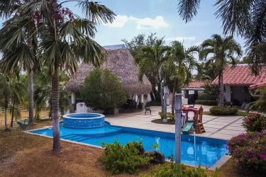 Swimming pool surrounded by palms and tropical landscaping at Punta Barco luxury villa