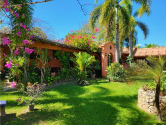 Outdoor swimming pool surrounded by palms flowering plants on estate residence Nueva Gorgona Chame Panama