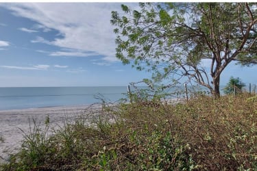 Scenic sandy beach with green vegetation and ocean waves Juan Hombrón Río Hato Panama