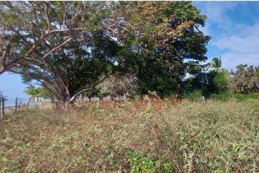 Open land with mature trees and natural vegetation Panama beachfront property