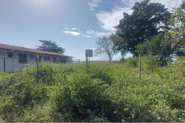 Overgrown property with fence, small structure and mature trees near beach Panama