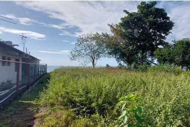 Vacant plot with ocean view grassy overgrown vegetation Panama beach land