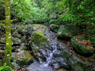 Natural plunge pool formed by waterfall in pristine tropical forest setting in San Carlos