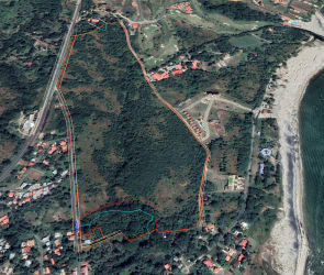 Aerial photo of large coastal development plot near beach, with green vegetation and adjacent housing in San Carlos Panama