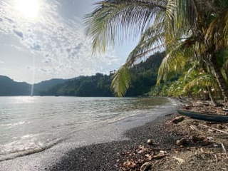 Land for Sale in Soná - 0 bedrooms