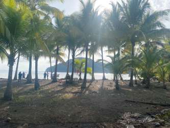 Beachfront with island view palm trees and ocean Bahia Honda Pixvae Panama