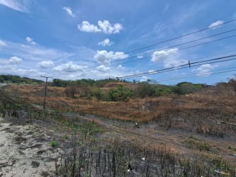 Vacant commercial real estate parcel with utility lines adjoining highway in Panama