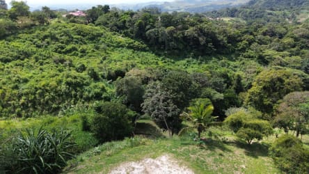 Large natural terrain in the countryside ideal for building or farming