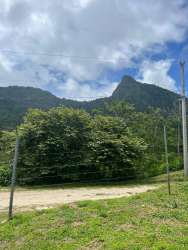 Open grassy lot surrounded by trees ideal for residential development in Panama