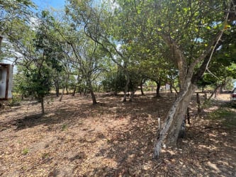 Vacant lot with mature trees and for sale sign in Nueva Gorgona Chame Panama close to Pacific beaches