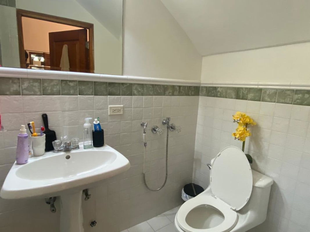 Balcony with potted plants, ornate iron railing on colonial building in Panama Casco Viejo
