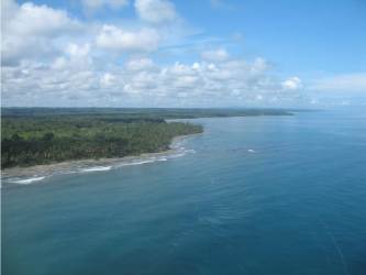 Caribbean seashore with palm trees and sandy beach Salud Panama