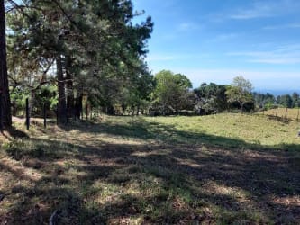 Open field with trees fence and Pacific Ocean views in La Estrella Boquete Panama