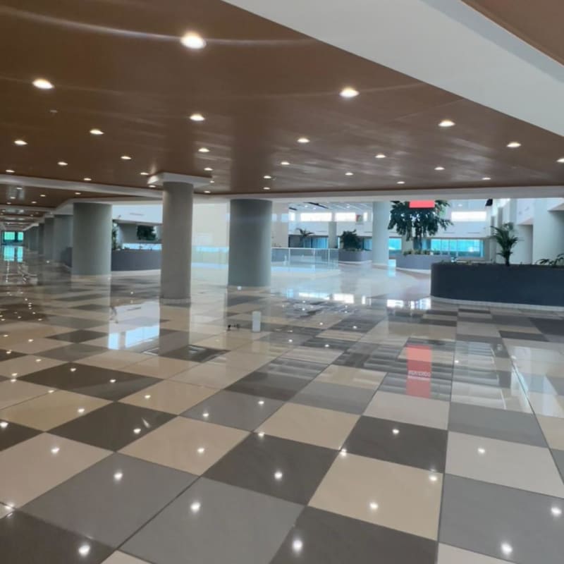 Lobby with checkered tiles, natural lighting, columns and plants at Paseo Albrook Mall