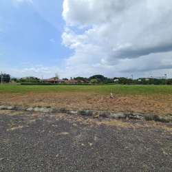 Cleared buildable lot with gravel road and trees Punta Chame Panama