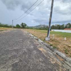 Paved road open plot with utility poles Punta Chame Panama Oeste