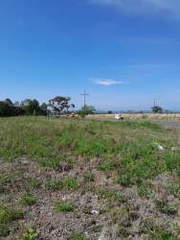 Land for Sale in Boquete - 0 bedrooms