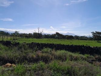 Pasture land with stone boundary wall, trees and scenic mountain view in Boquete Panama