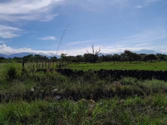 Rural open field with scattered trees, fence, and mountains in El Francés Boquete Panama