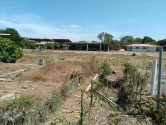 Wide open flat land with fencing, power lines nearby in El Espinal Panama