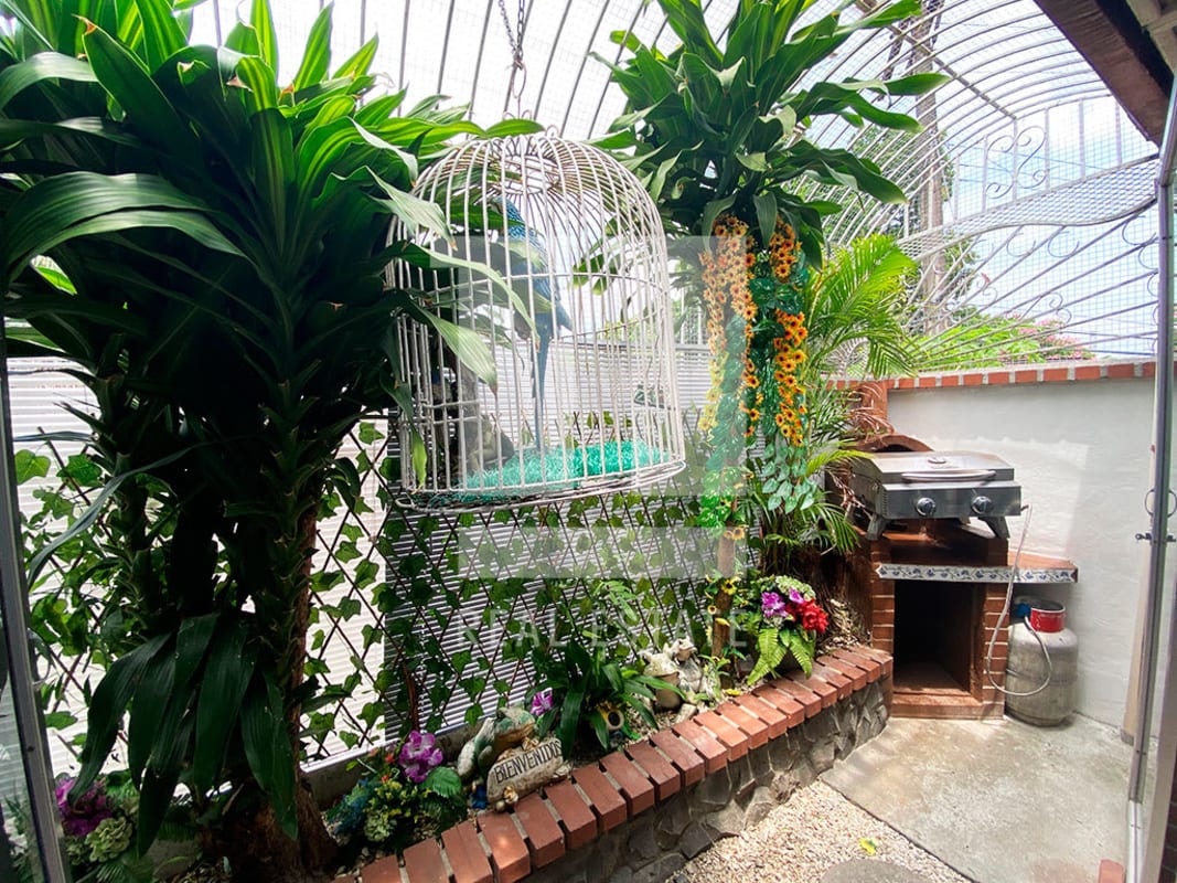 Small enclosed outdoor patio with birdcage, BBQ grill, lush plants Panama house