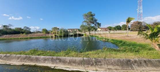 Pond with grassy banks in lush Palmeras Golf Coronado residential neighborhood Panama