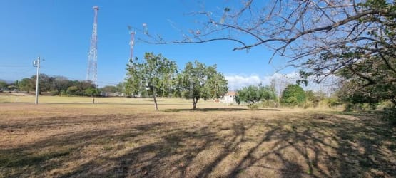 Flat open field lot with scattered trees utility access in private Palmeras Golf neighborhood Coronado