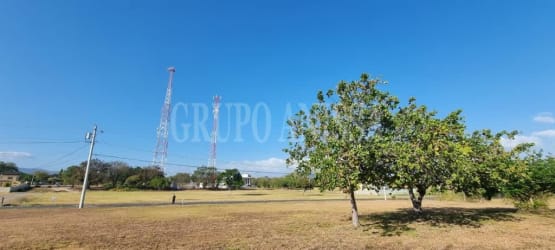 Large open lot with mature trees in private golf community Coronado Panama