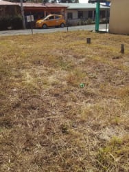 Urban vacant Pedasi lot with dry grass by street ready for project Hola Realty