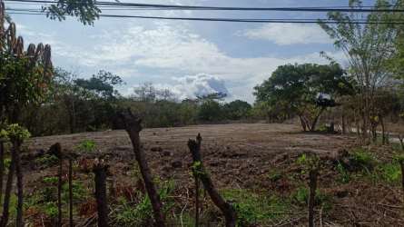 Cleared buildable lot at Panamericana corner ready for commercial or residential use San Carlos Panama
