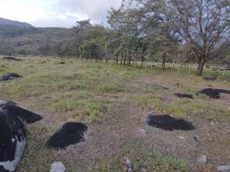 360,000m2 Cattle Ranch with Water Sources Caldera Renacimiento Panama