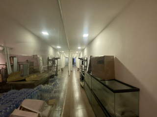 Office for Rent in Juan Diaz - 5 bedrooms