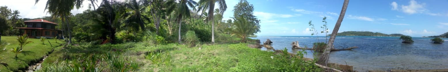 Satellite coastal image with Isla Grande and lush waterfront residential area La Guaira Panama