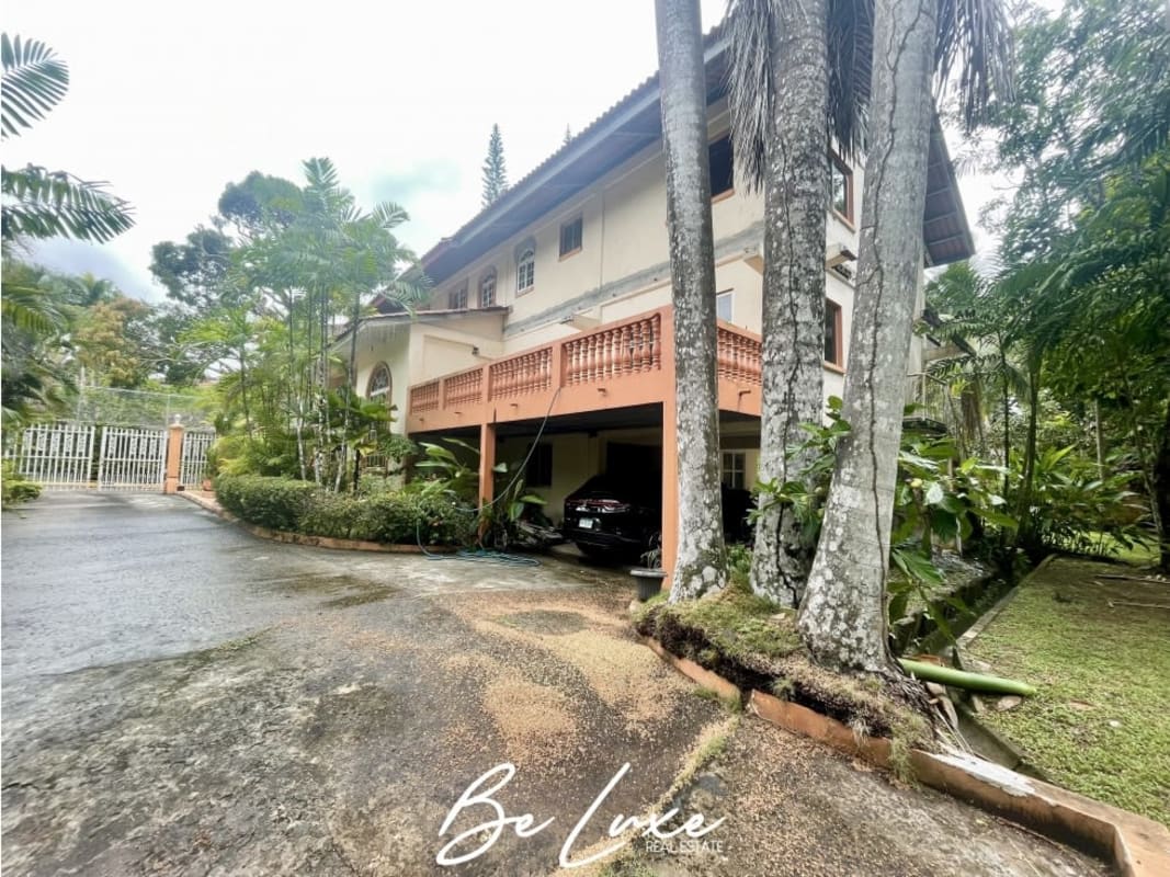 Spacious garden with mature trees, green lawn and tropical landscaping in Albrook duplex Panama City