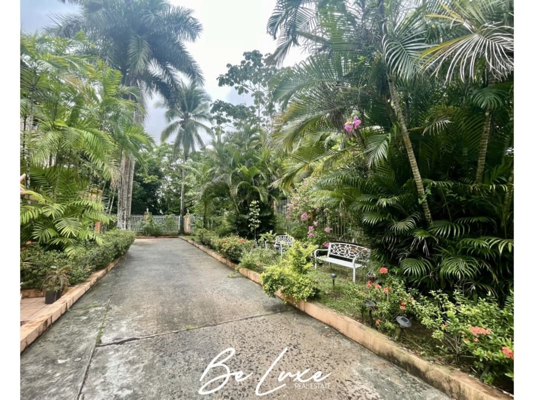 Shaded patio terrace with dining set overlooking swimming pool and garden in Albrook Panama City