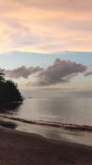 Condominium Apartment for Rental in Portobelo - 1 bedroom