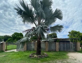 Empty living room with ceramic tile floor and curtain window in Penonomé countryside house