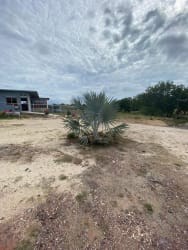 Partially developed land with palm and unfinished building Penonomé Coclé