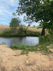 Pond bordered by trees grassy banks under blue sky Penonomé Panama